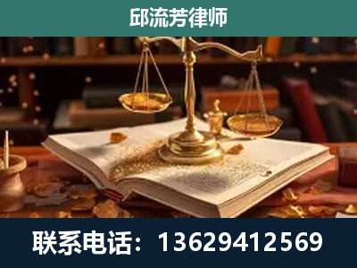 鲁甸-刑事案件